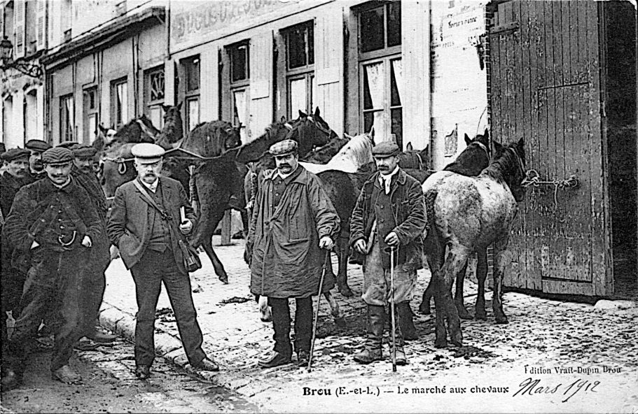 Marché aux chevaux Marché aux chevaux