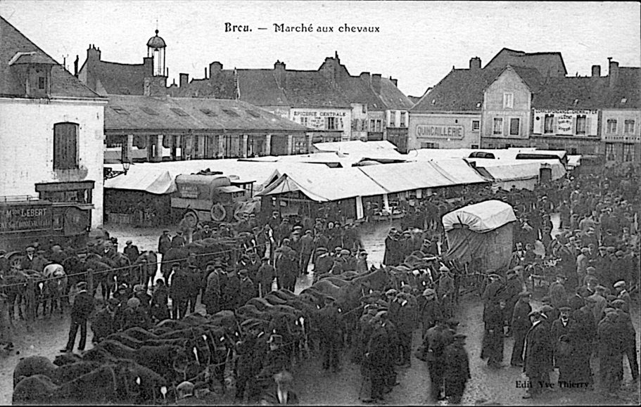 Marché aux chevaux