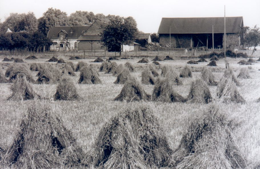 Ferme Maison Rouge Ferme Maison Rouge