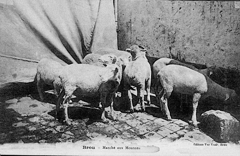 Marché aux porcs et aux moutons - Brou rue de la Bouverie Marché aux porcs et aux moutons - Brou rue de la Bouverie
