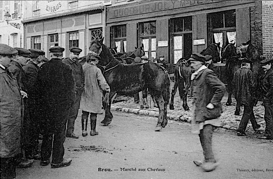 Marché aux chevaux Marché aux chevaux