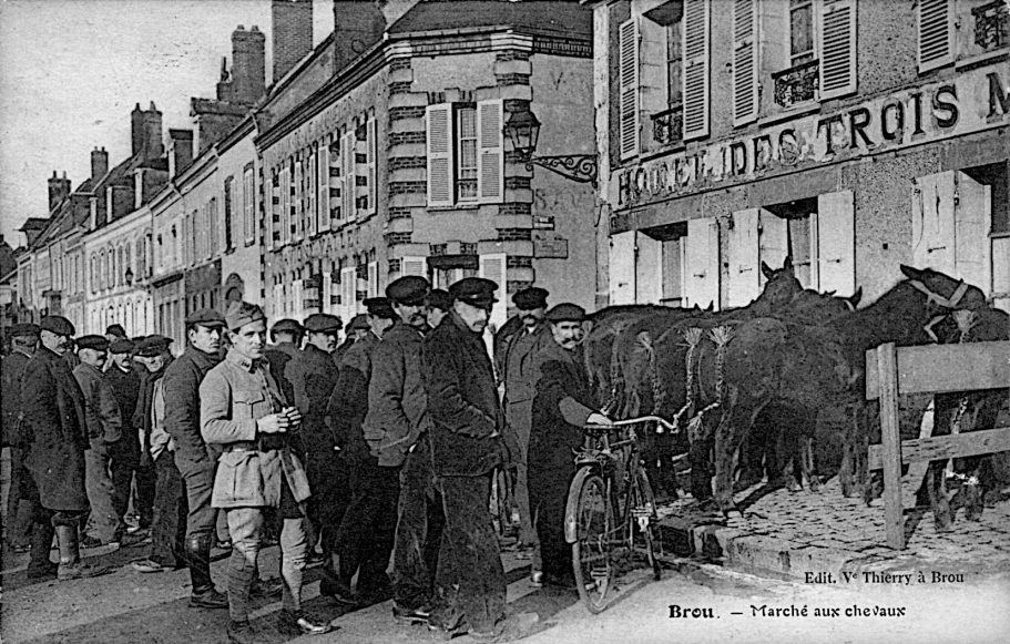 Marché aux chevaux